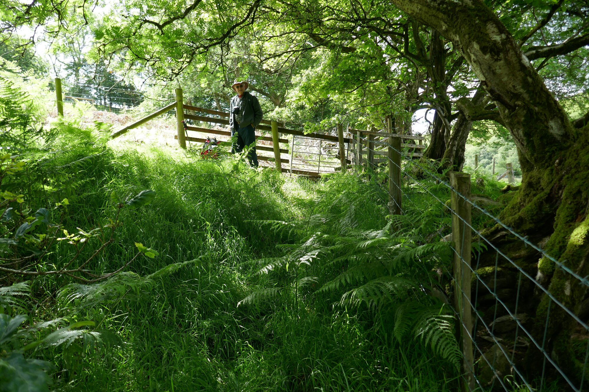 RachelSeabrook.net | Wild Walking | Cwmystwyth | pic11